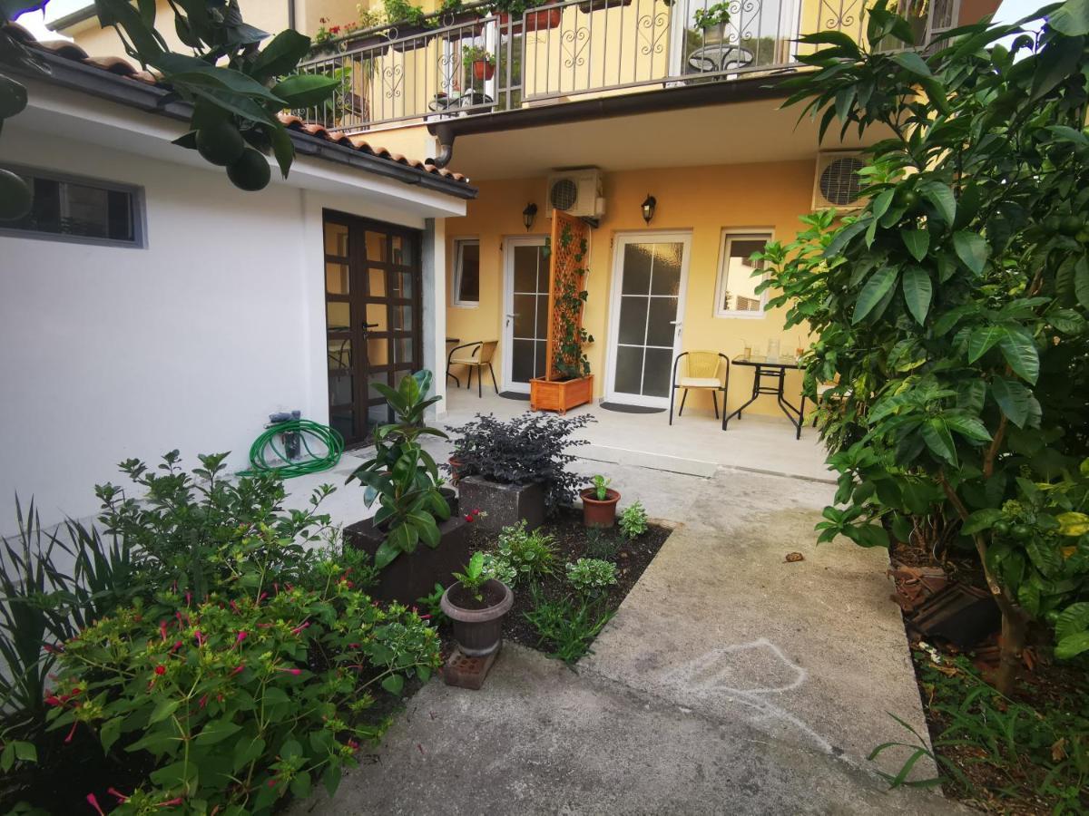Radovic Apartments Budva Exterior photo